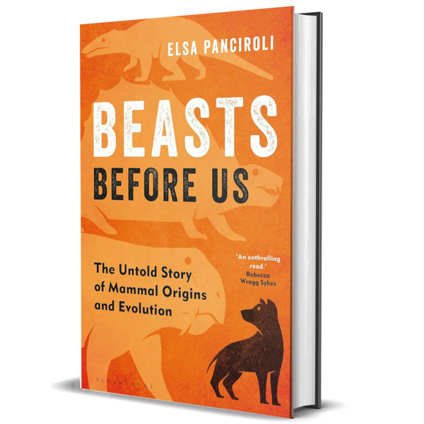 Beasts Before Us: The Untold Story of Mammal Origins and Evolution