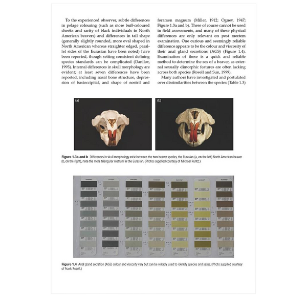 Beavers: Ecology, Behaviour, Conservation, and Management