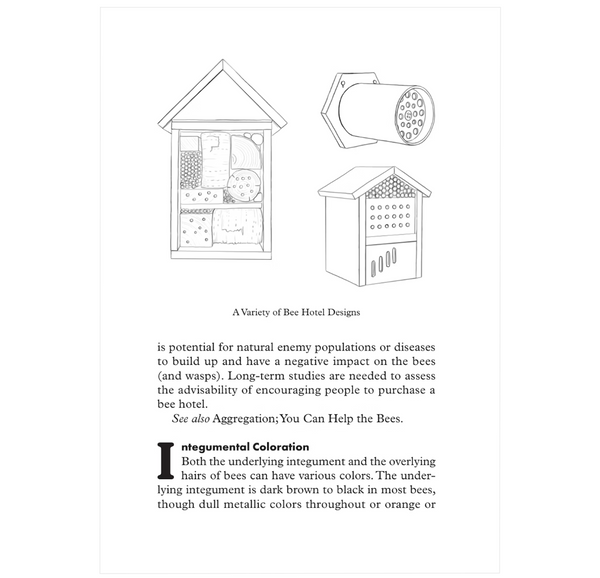Beepedia: A Brief Compendium of Bee Curiosities
