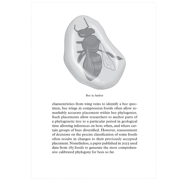 Beepedia: A Brief Compendium of Bee Curiosities