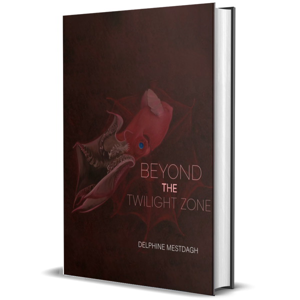 Beyond the Twilightzone