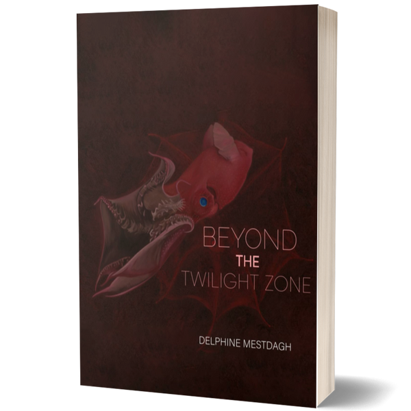 Beyond the Twilightzone