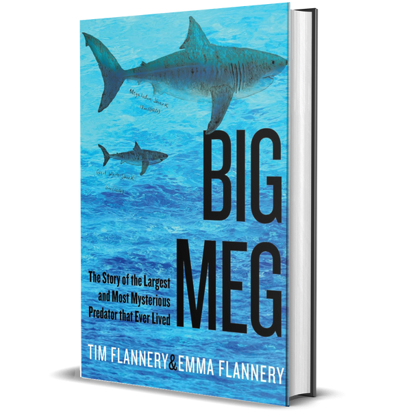 Big Meg: the Story of the Largest and Most Mysterious Predator that Ever Lived