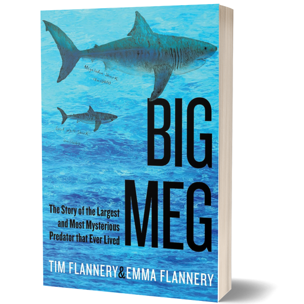 Big Meg: the Story of the Largest and Most Mysterious Predator that Ever Lived