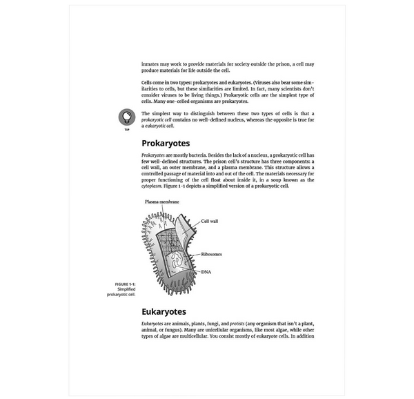 Biochemistry For Dummies