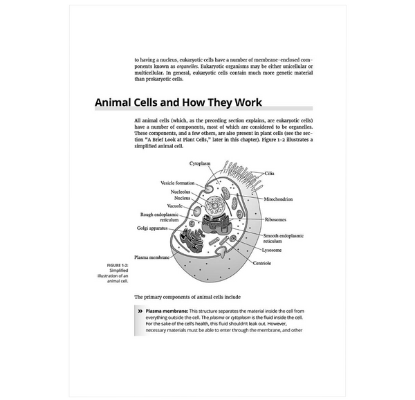 Biochemistry For Dummies