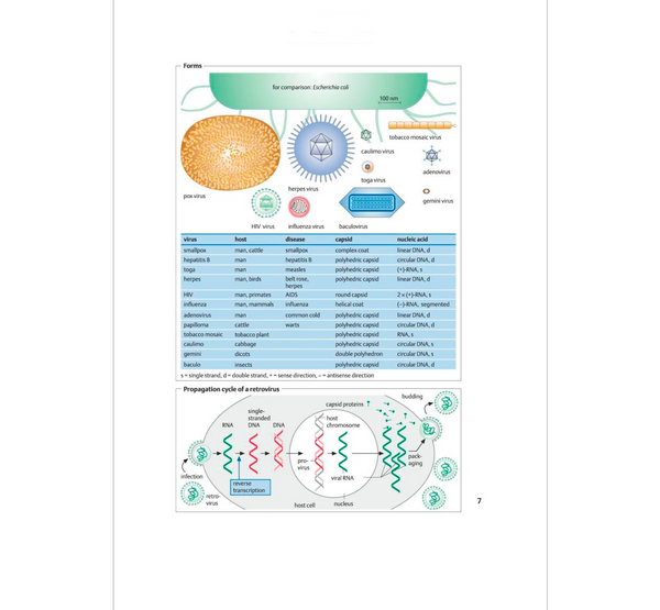 Biotechnology: An Illustrated Primer