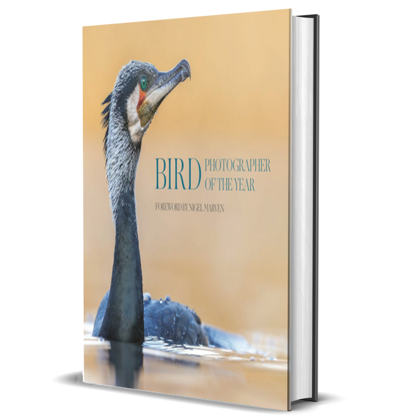 Bird Photographer of the Year: Collection 10