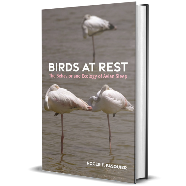 Birds at Rest: The Behavior and Ecology of Avian Sleep