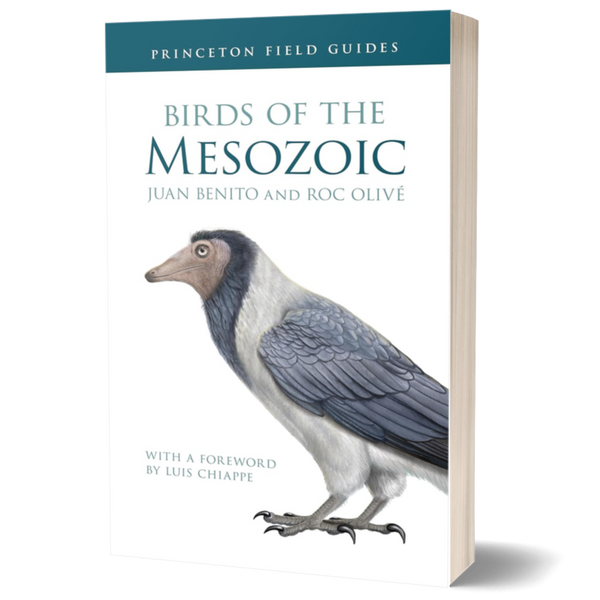 Birds of the Mesozoic