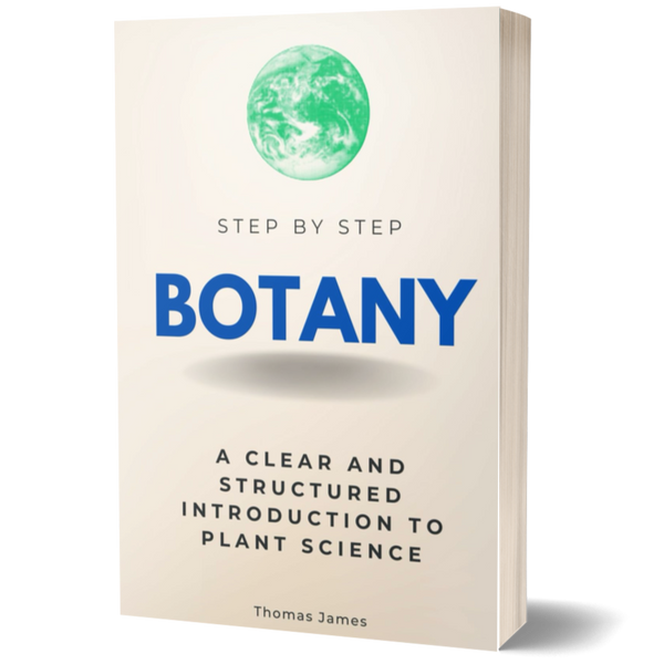 Botany Step by Step: A Clear and Structured Introduction to Plant Science