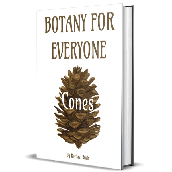 Botany for Everyone: Cones