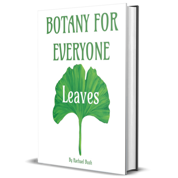 Botany for Everyone: Leaves