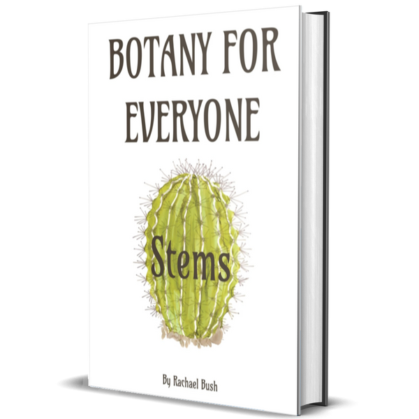 Botany for Everyone: Stems
