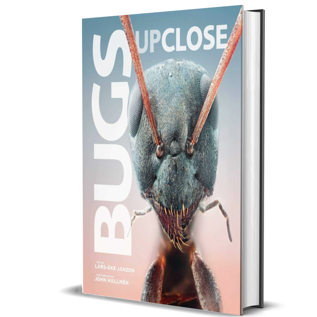 Bugs Up Close: A Magnified Look at the Incredible World of Insects ...