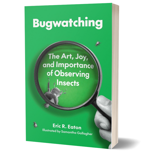 Bugwatching: The Art, Joy, and Importance of Observing Insects