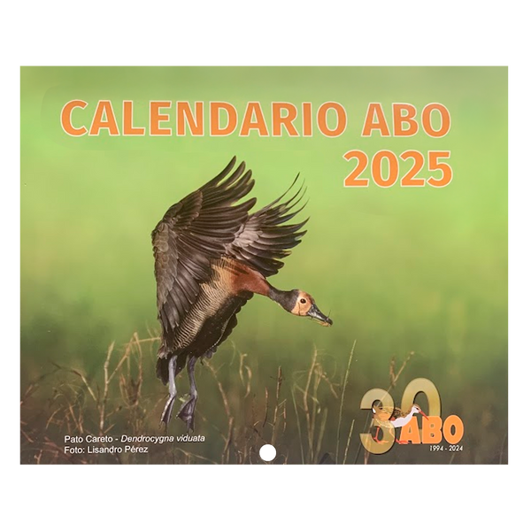 Calendario Mensual de Pared 2025 ABO