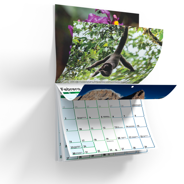 Calendario Mensual de Pared 2025 Maravillas Ocultas de Colombia, Incluye Fechas Mundiales Importantes para la Naturaleza