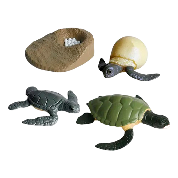 Ciclo de Vida Montessori: Figuras de Animales y Plantas para Niños (+3)