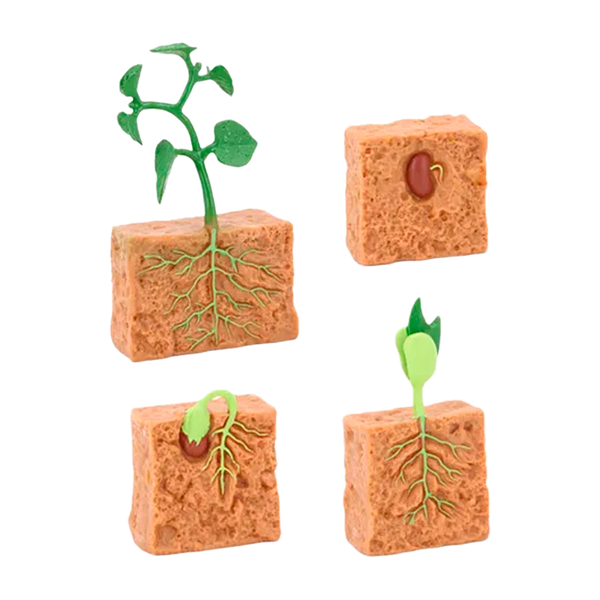 Ciclo de Vida Montessori: Figuras de Animales y Plantas para Niños (+3)
