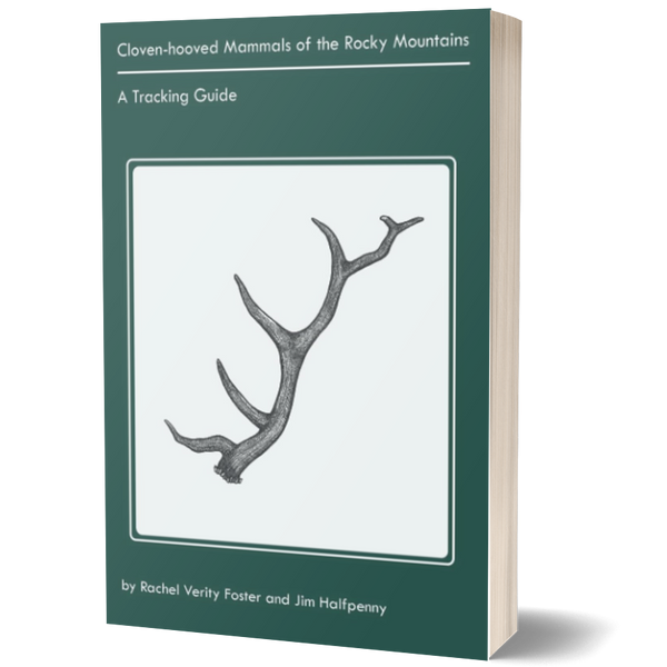 Cloven-hooved Mammals of the Rockies: A Tracking Guide