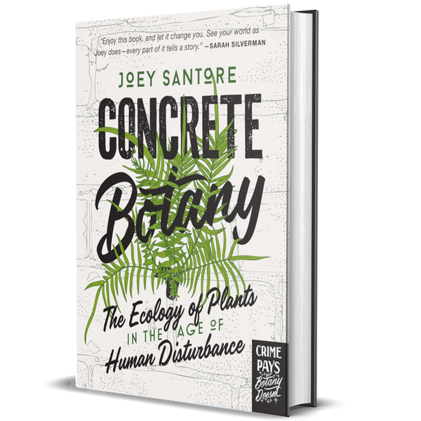 Concrete Botany: The Ecology of Plants in the Age of Human Disturbance
