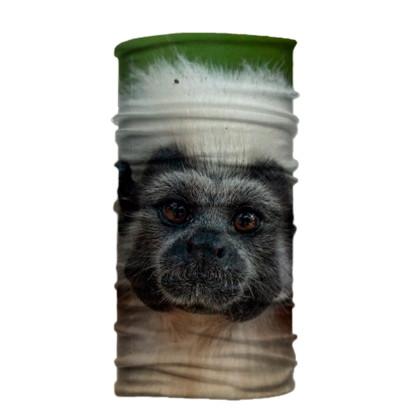 Cuello Tipo Buff Estampados de Mamíferos Atratus 