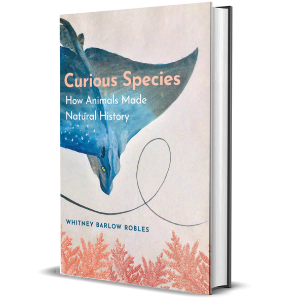 Curious Species How Animals Made Natural History