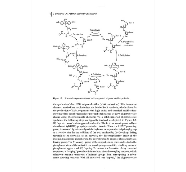 DNA Nanotechnology for Cell Research: From Bioanalysis to Biomedicine