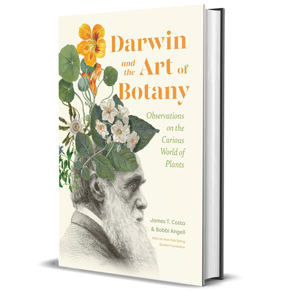Darwin and the Art of Botany: Observations on the Curious World of Plants