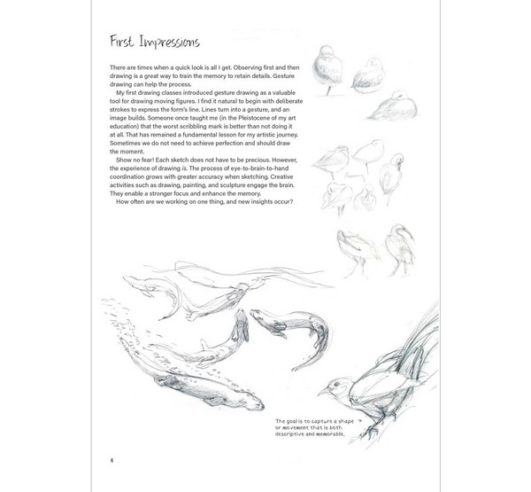 Drawing Nature: The Creative Process of an Artist, Illustrator, and Naturalist