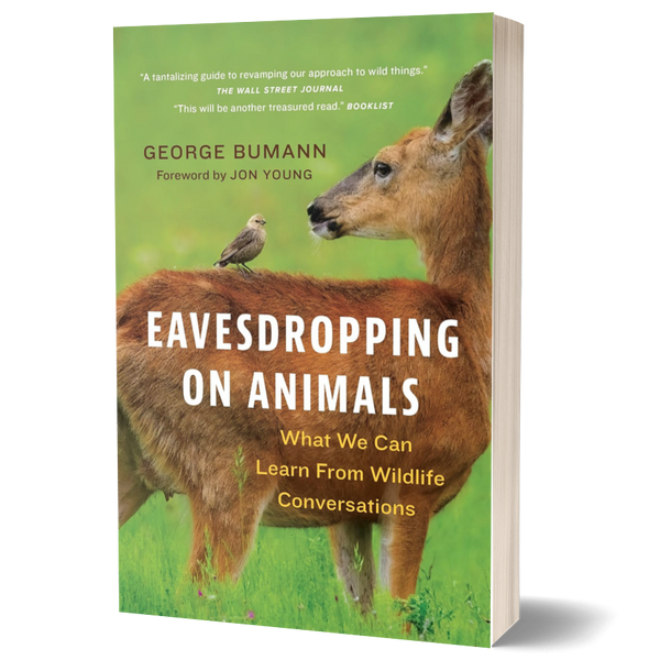 Eavesdropping on Animals: What We Can Learn from Wildlife Conversations