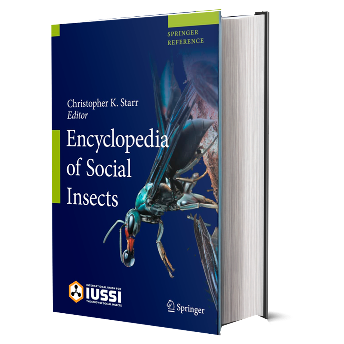 Socal Insects Encyclopedia of Social Insects - BIOWEB® Colombia