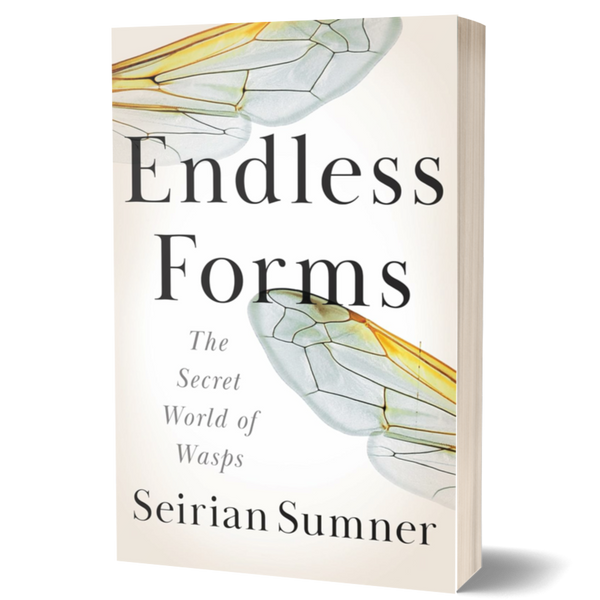 Endless Forms: The Secret World of Wasps