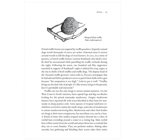 Entangled Life: How Fungi Make Our Worlds, Change Our Minds & Shape Our Futures