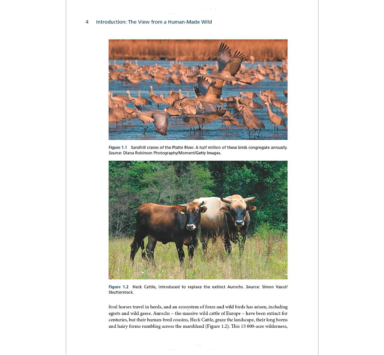 Environment and Society: A Critical Introduction, 3rd Edition - BIOWEB ...