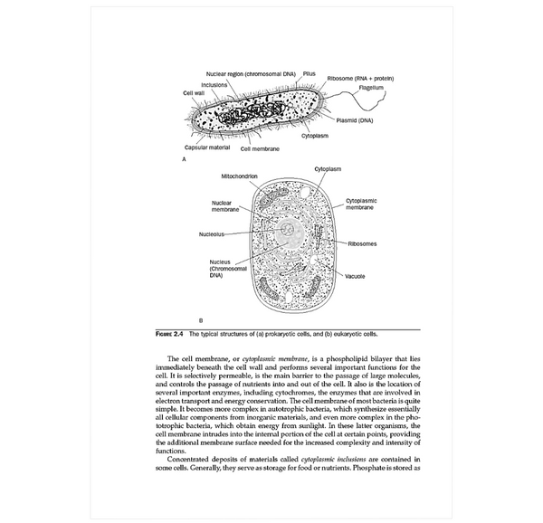 Environmental Biotechnology: Principles and Applications, Second Edition