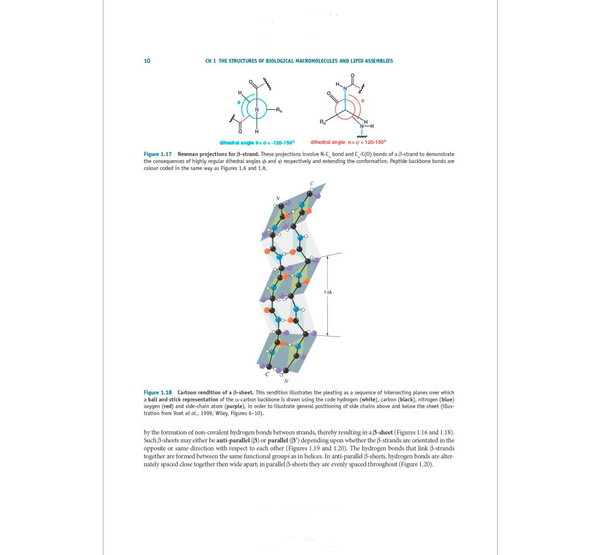 Essentials of Chemical Biology: Structures and Dynamics of Biological Macromolecules In Vitro and In Vivo 2nd Edición