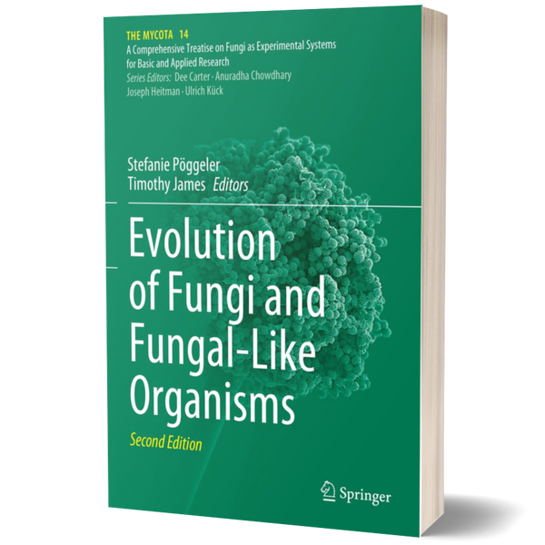 Evolution of Fungi and Fungal-Like Organisms (The Mycota, 14)