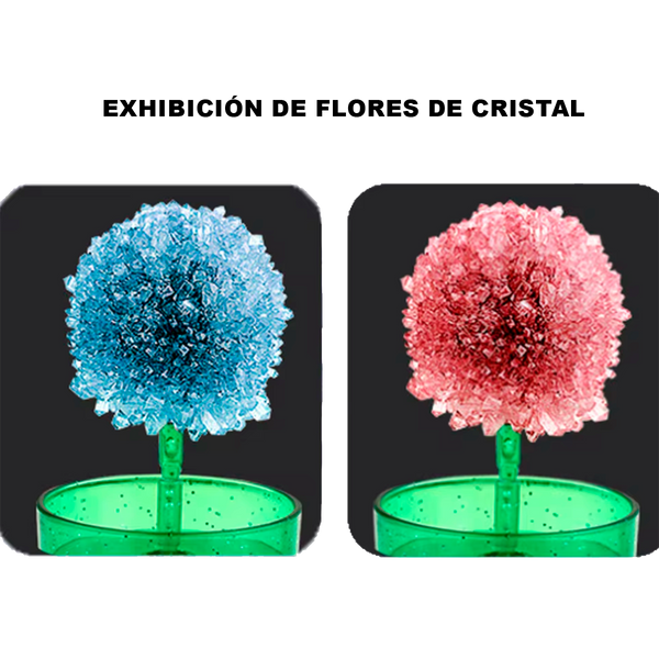 Experimento Científico de Plantación de Cristal DIY Creativo en Forma de Flor de Árbol de Cristal Divertido de Conjunto de Experimento Padre-Hijo de Color Aleatorio (+6)