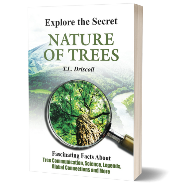 Explore The Secret Nature of Trees: Fascinating Facts About Tree Communication, Science, Legends, Global Connections and More
