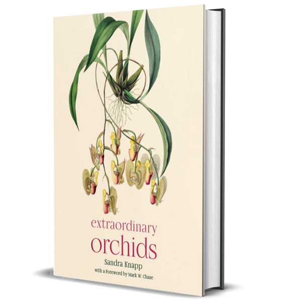 Extraordinary Orchids