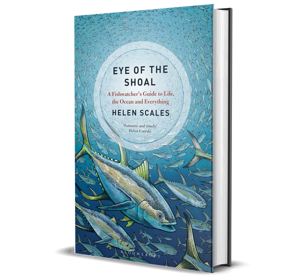 Eye of the Shoal: a Fishwatcher's Guide to Life, the Ocean and Everything