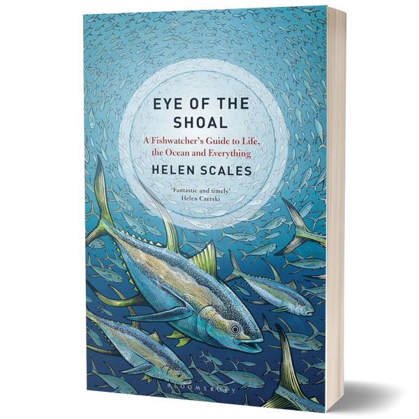 Eye of the Shoal: a Fishwatcher's Guide to Life, the Ocean and Everything
