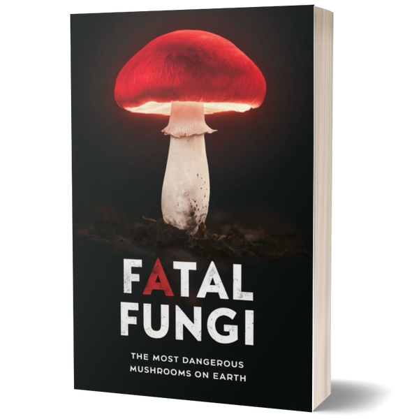 Fatal Fungi: The Most Dangerous Mushrooms on Earth