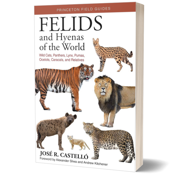 Felids and Hyenas of the World: Wildcats, Panthers, Lynx, Pumas, Ocelots, Caracals, and Relatives