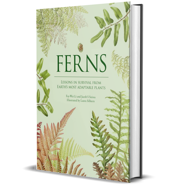 Ferns: Lessons in Survival From Earth’s Most Adaptable Plants
