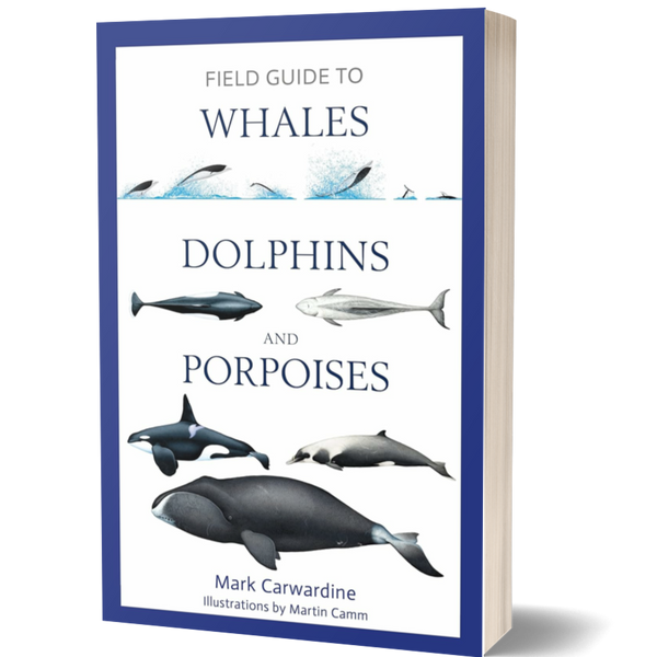 Field Guide to Whales, Dolphins and Porpoises