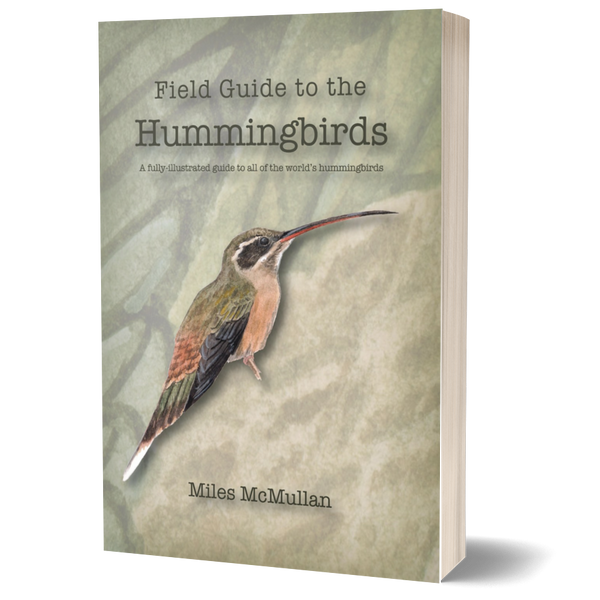 Hummingbird Field Guide Field Guide to the Hummingbirds ²⁶ - BIOWEB® Colombia