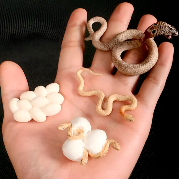 Figura de Cascabel Realista de Cobras, Modelo de Ciclo de Crecimiento en Miniatura de Serpiente (3+)